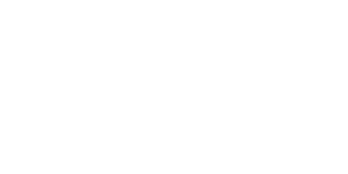 Lozick Foundation logo